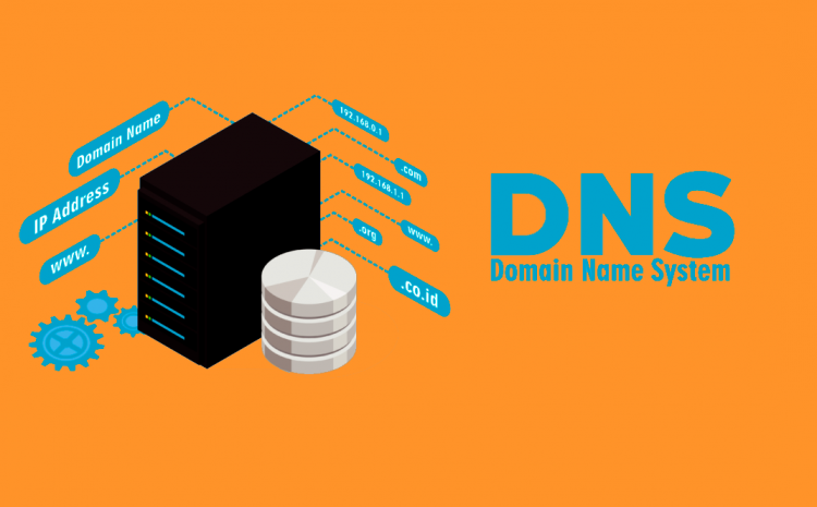 DNS Server