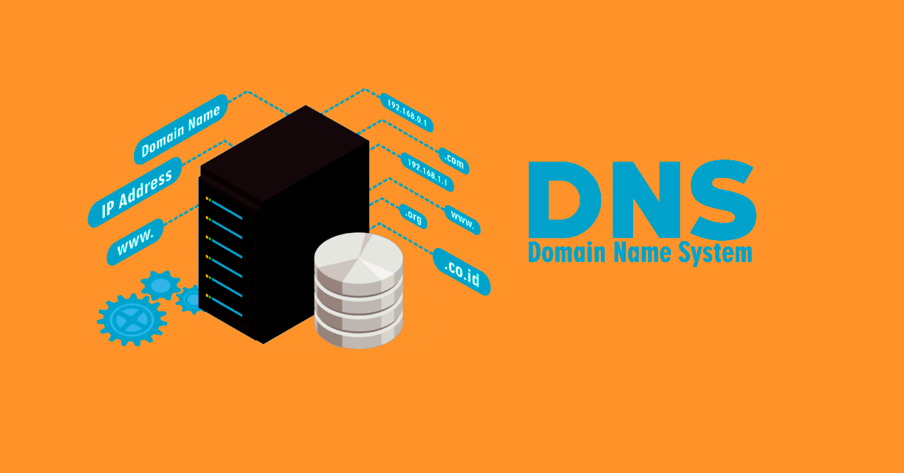 DNS Server