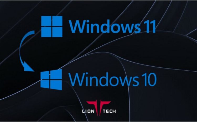 Windows 11