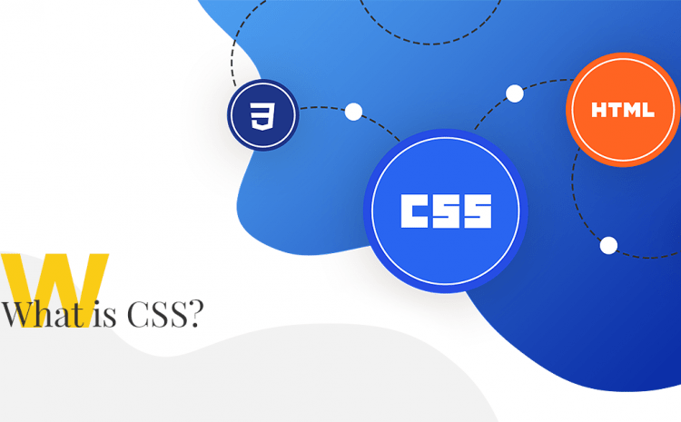 CSS