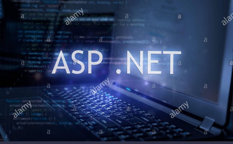 ASP programming