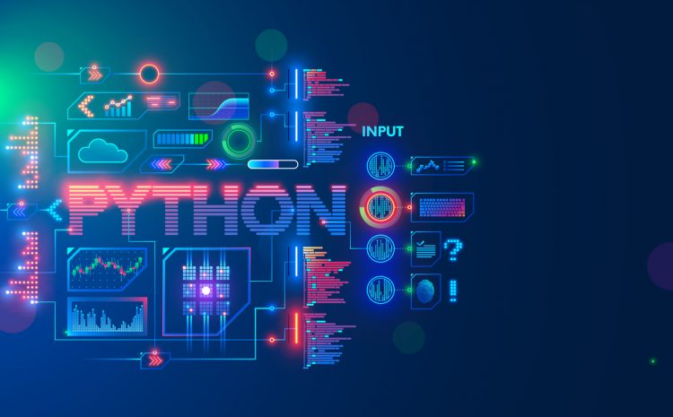 python programming