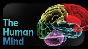 Currently, The Most Important Goal Of AI Scientists Is To Achieve "Comprehensive Artificial Intelligence" (GAI). If Robots Or Any Other Type Of Machine Is Built On This Technology, They Will Be Able To Do All The Things That An Adult Can Do.