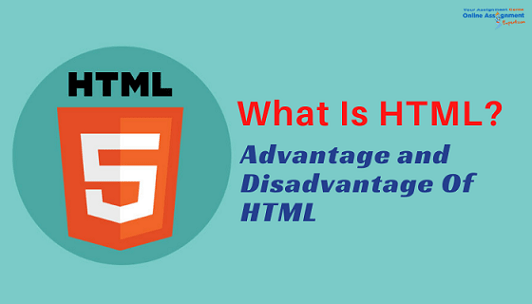 HTML Programming