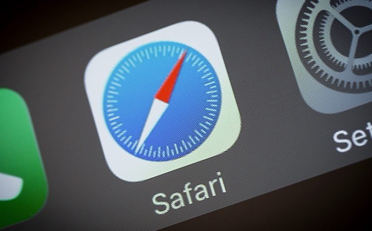 Safari