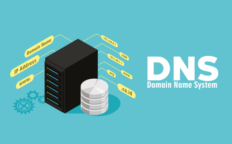 DNS