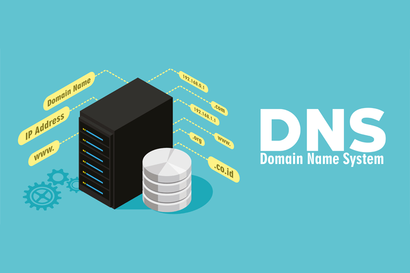 DNS