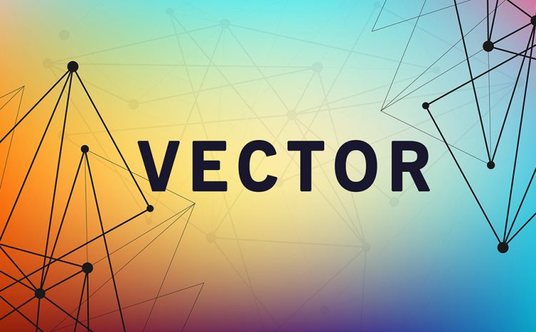 Vector