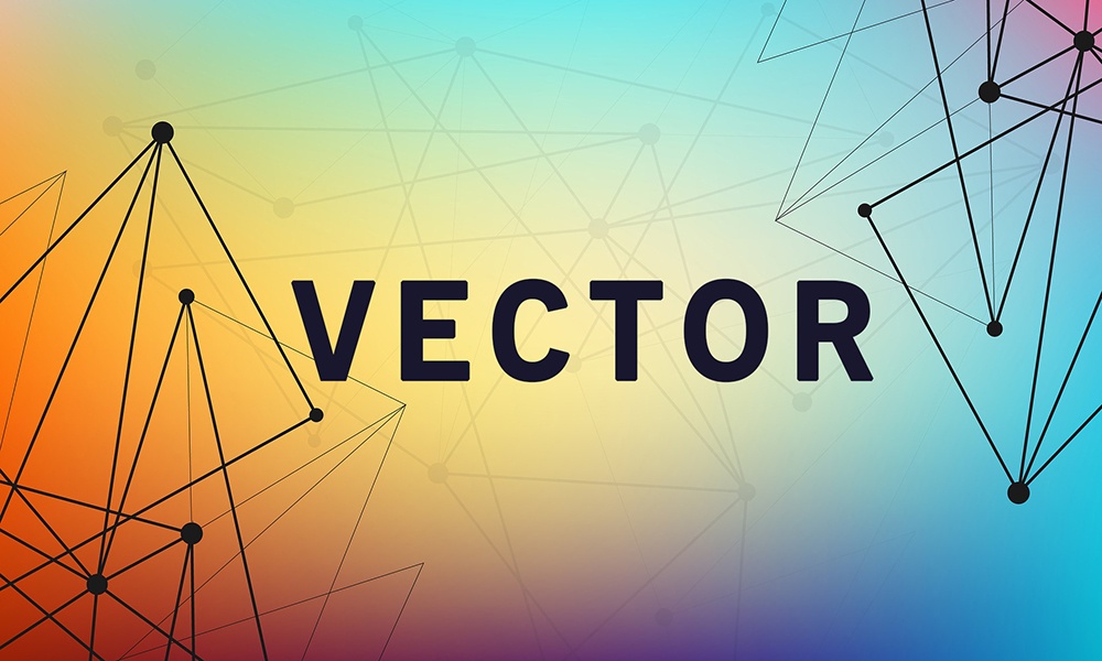 Vector