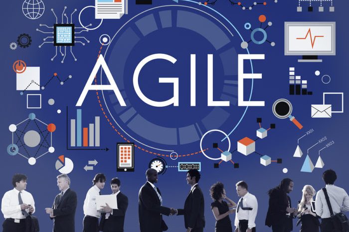 agile organization