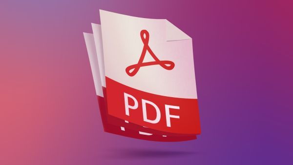 PDF reader