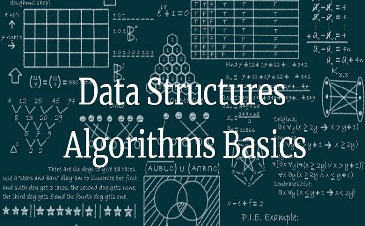 Why Is Learning Data Structure Essential For Any Programmer?