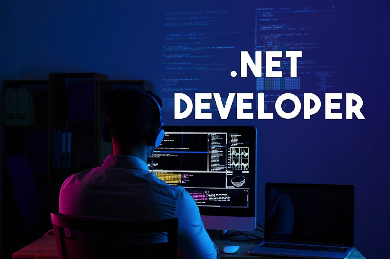 The Complete Guide To Hiring A .NET Developer Who Is A .NET Developer And How To Hire Such A Person?