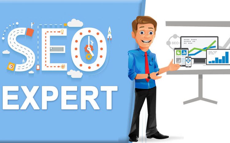 an seo expert