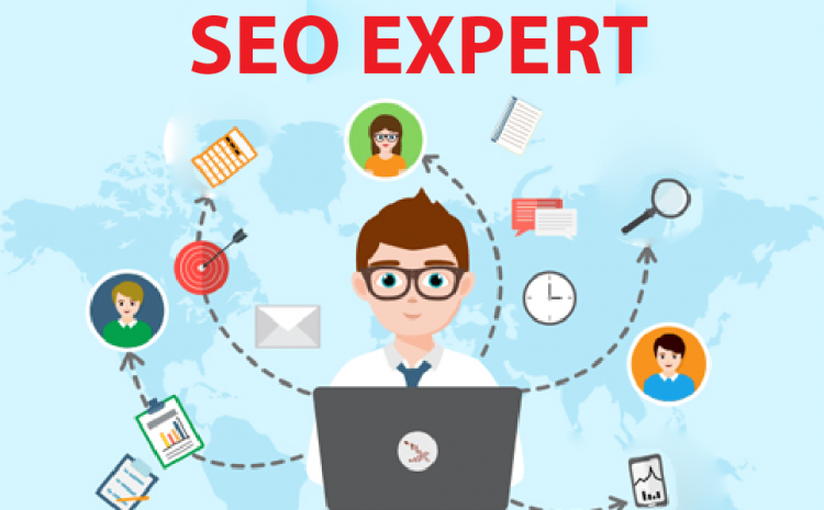 an SEO expert