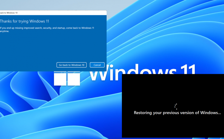 Windows 11