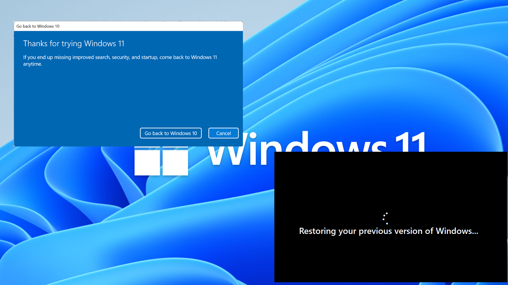 Windows 11