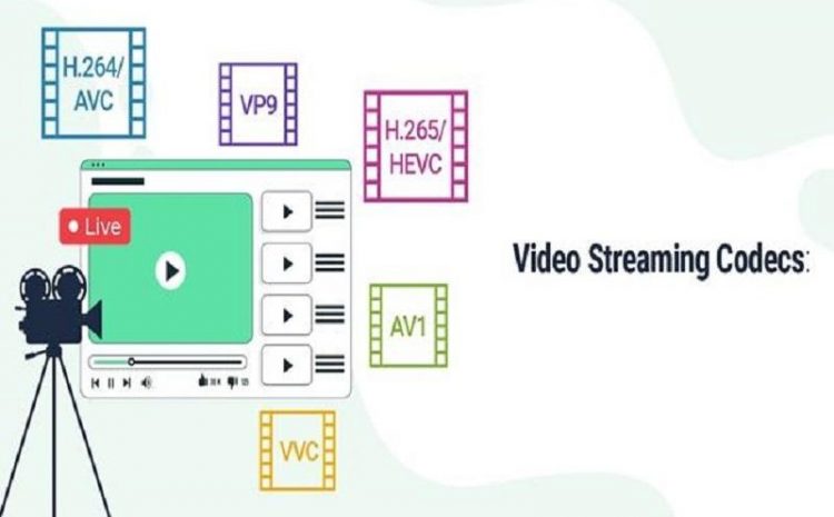 What Is Codec And What Is Its Role In Communication Networks?