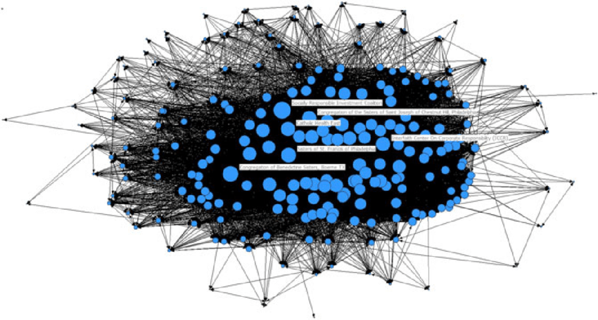 Who Is The Network Activist?