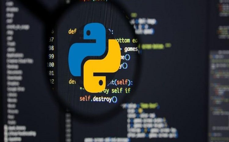 17 Interesting And Simple Ideas For Programming In Python For Beginners