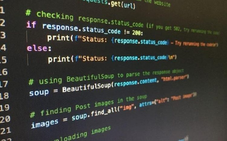 What Can Be Done With The Python Programming Language?