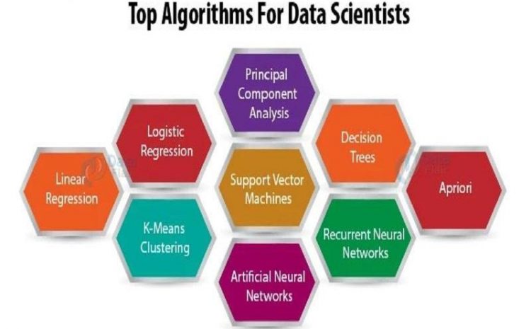 11 Most Common Algorithms Used By Data Scientists